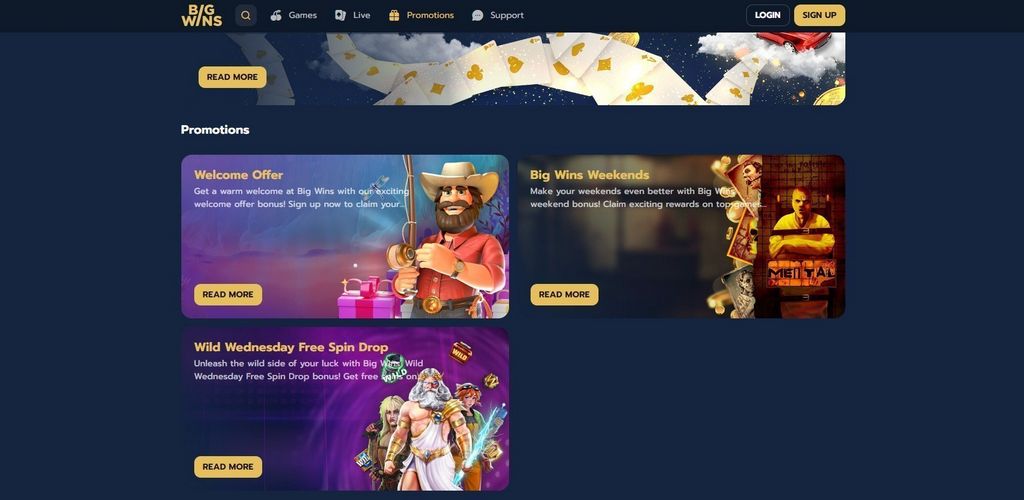 Big Wins Casino Site Review: Software